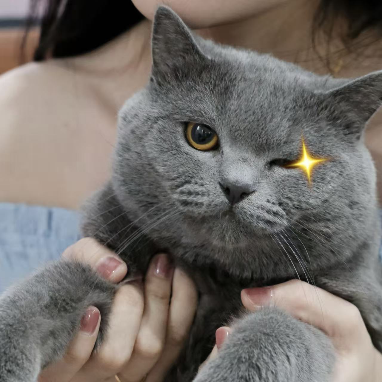 furry 1